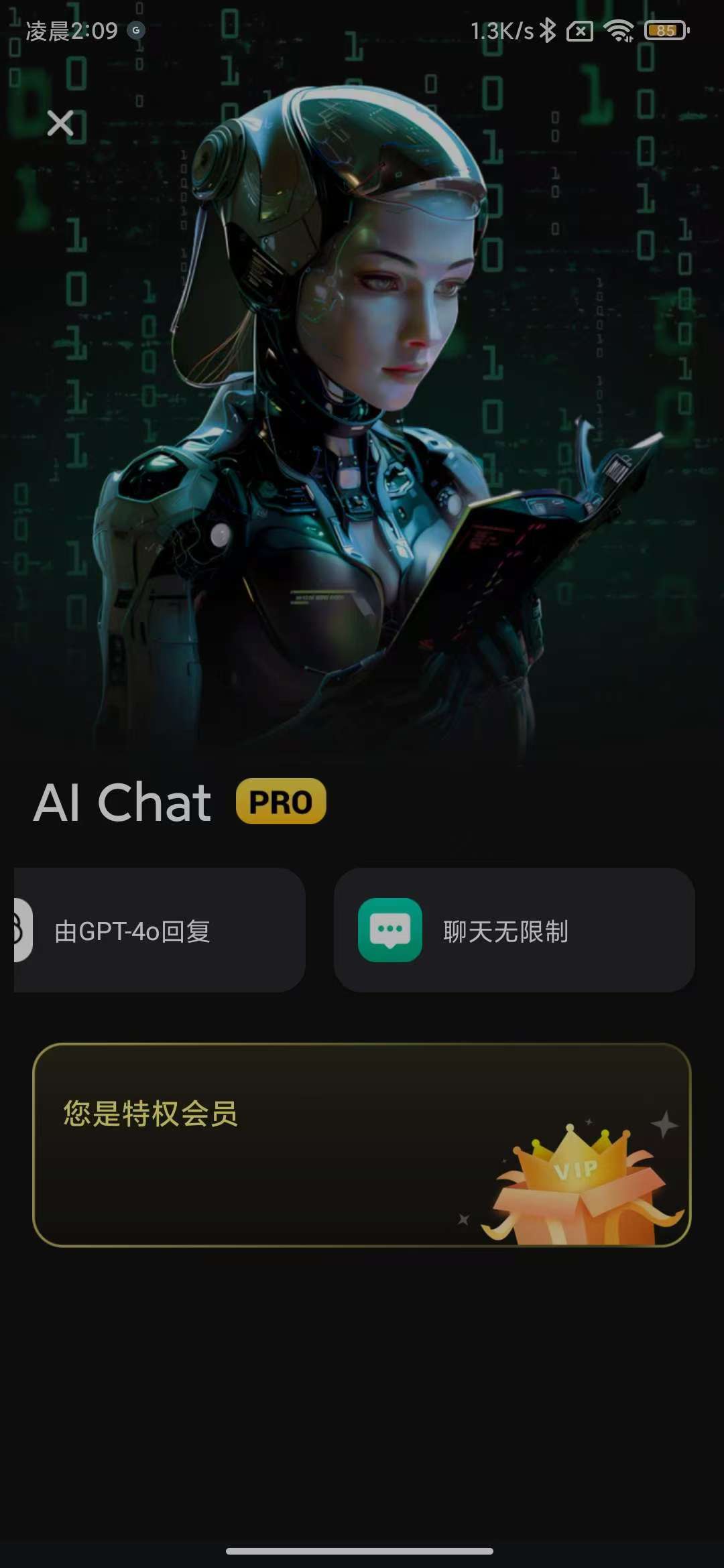 Ai Chat会员解锁版，ai工具整合